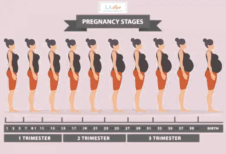 First Trimester (Weeks 1–12): Early Changes You Might Not Notice Royal Tunbridge Wells